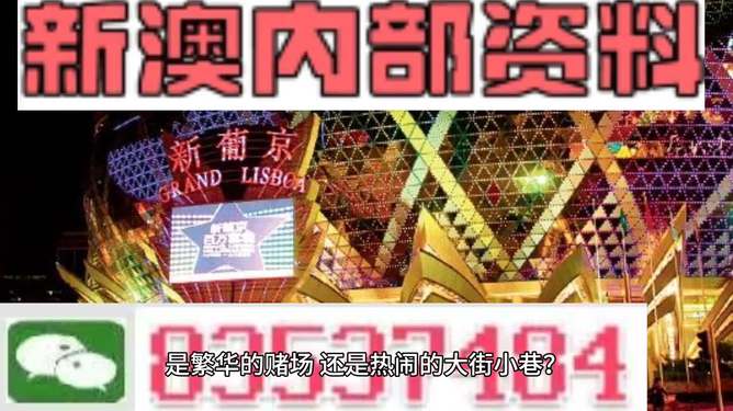 新澳門(mén)精準(zhǔn)資料大全管家婆料,釋意性描述解_安靜版8.423 - 副本