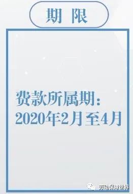 新奧精準(zhǔn)資料免費提供510期|明凈釋義解釋落實,新奧精準(zhǔn)資料免費提供第510期，明凈釋義與落實的深度解析